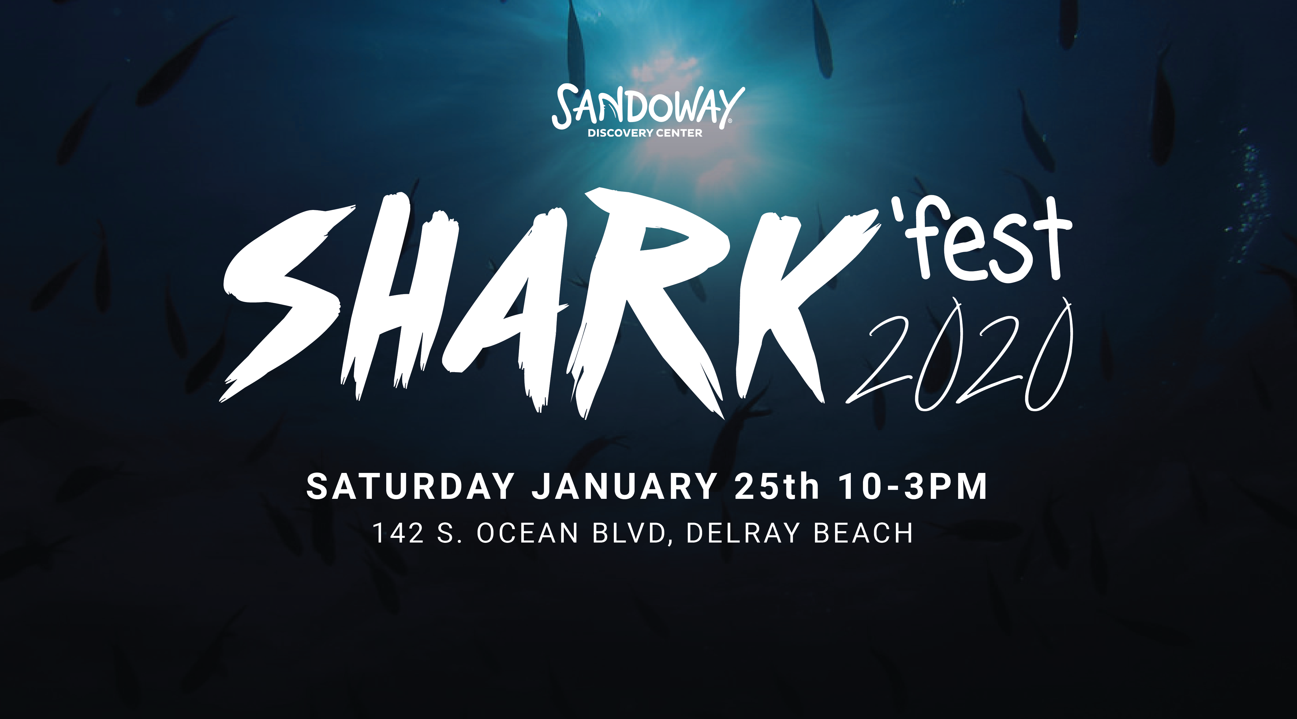 sharkfest2020-01