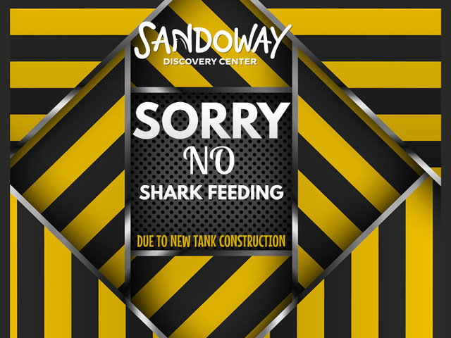 No Shark Feeding