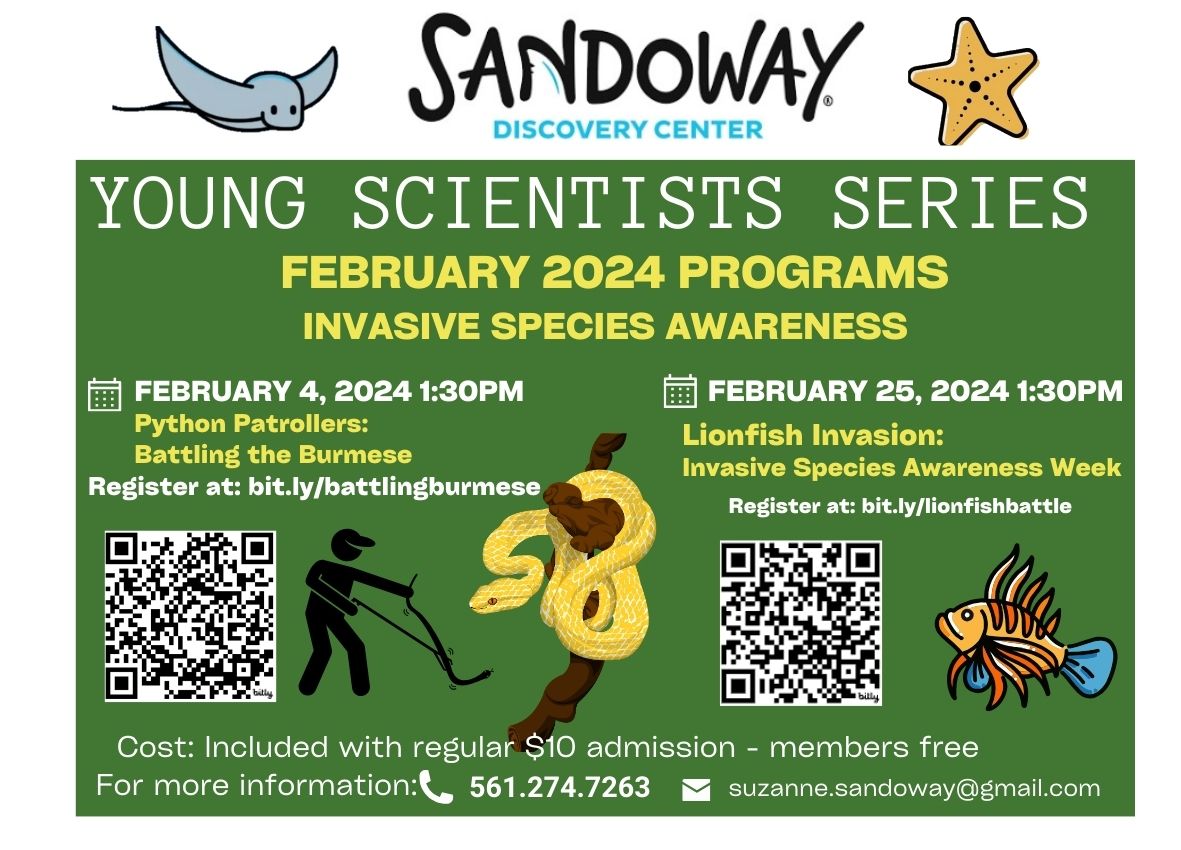 February Young Scientists Series Flyer (100 × 72 mm) (1) 2024